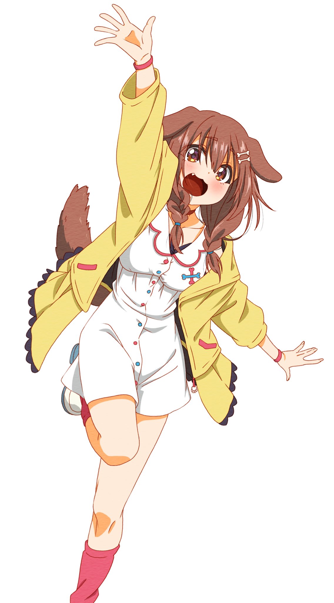 1girl :3 :d animal_collar animal_ears bangs blush bone_hair_ornament bracelet braid brown_eyes brown_hair buttons collar commentary_request dog_ears dog_girl dog_tail dress fang feet_out_of_frame hair_between_eyes hair_ornament hairclip highres hololive homura_minori inugami_korone jacket jewelry long_hair looking_at_viewer loose_socks low_twin_braids off_shoulder open_mouth red_collar red_legwear running running_towards_viewer shoes short_dress simple_background smile sneakers socks solo tail twin_braids twintails virtual_youtuber waving white_background white_dress yellow_jacket