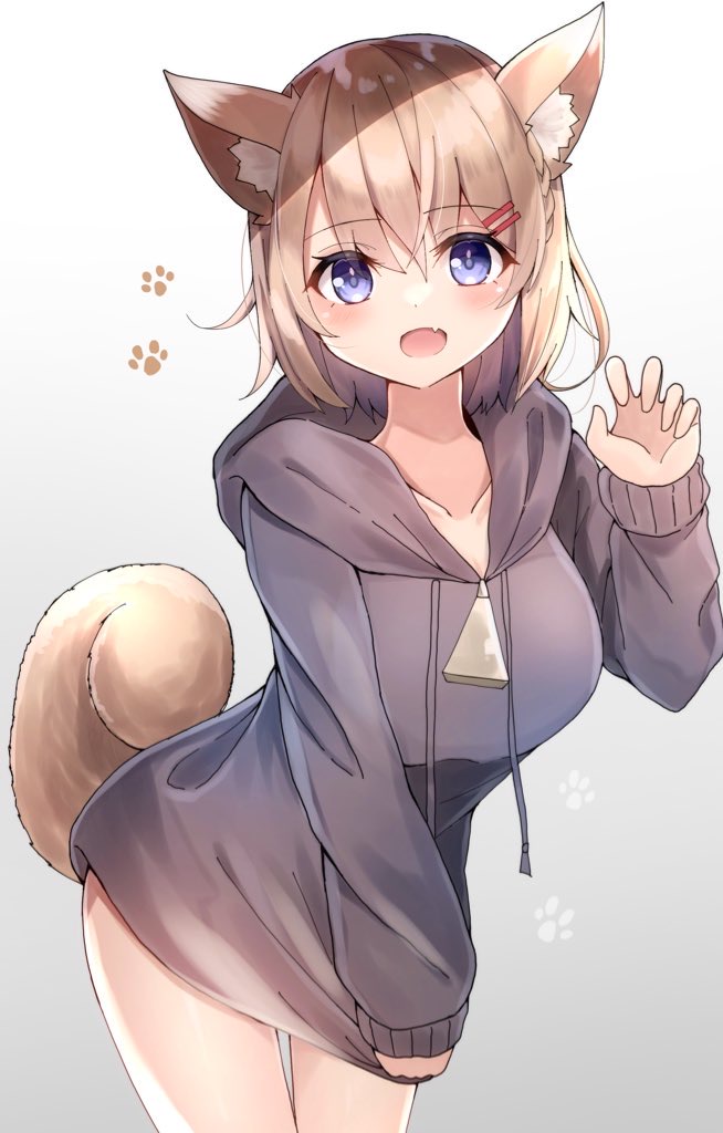 1girl :d animal_ear_fluff animal_ears bangs blue_eyes blush braid breasts brown_hair claw_pose collarbone commentary_request dog_ears dog_girl dog_tail eyebrows_visible_through_hair fang gradient gradient_background grey_background grey_hoodie hair_between_eyes hair_ornament hairclip hand_up himemiya_shuang hood hood_down hoodie long_sleeves looking_at_viewer medium_breasts open_mouth original sleeves_past_wrists smile solo tail tail_raised white_background