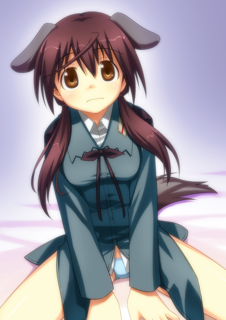 arm_support bad_id blue_panties bowtie brown_eyes brown_hair dog_ears dog_tail dress_shirt gertrud_barkhorn jacket long_hair no_pants panties shirt sitting solo strike_witches tail twintails umekichi underwear uniform
