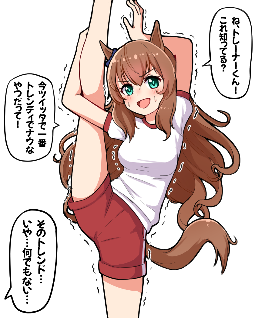 1girl :d animal_ears arms_up bangs black_bow blush bow breasts brown_hair commentary_request ear_bow eyebrows_visible_through_hair feet_out_of_frame gym_shirt gym_shorts gym_uniform hair_between_eyes horse_ears horse_girl horse_tail leg_up long_hair maruzensky_(umamusume) medium_breasts open_mouth puffy_short_sleeves puffy_sleeves red_shorts shirt short_shorts short_sleeves shorts simple_background smile solo split standing standing_on_one_leg standing_split sweat tail takiki translation_request trembling umamusume v-shaped_eyebrows very_long_hair white_background white_shirt