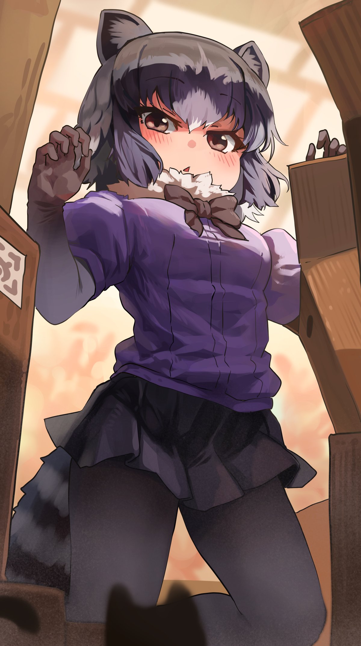 animal_ears black_legwear black_neckwear black_skirt blue_sweater blush bow bowtie box brown_eyes cardboard_box commentary_request common_raccoon_(kemono_friends) elbow_gloves eyebrows_visible_through_hair from_below fur_collar gloves grey_gloves grey_hair highres japari_symbol kemono_friends looking_at_viewer melaton multicolored_hair pantyhose pleated_skirt puffy_short_sleeves puffy_sleeves raccoon_ears raccoon_girl raccoon_tail short_hair short_sleeves skirt sweater tail white_hair