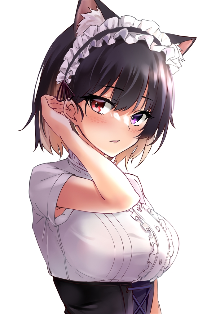 1girl adjusting_hair animal_ear_fluff animal_ears bangs black_hairband blue_eyes blush border breasts buttons copyright_request dress_shirt eyebrows_visible_through_hair frilled_hairband frills hairband heterochromia large_breasts looking_to_the_side marisasu_(marisa0904) open_mouth parted_lips red_eyes shirt short_hair short_sleeves sideways_glance simple_background solo upper_body waistcoat white_background white_shirt