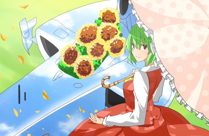 car flower formula_one from_behind green_hair kazami_yuuka looking_back motor_vehicle nogrip parasol petals plaid plaid_skirt plaid_vest polka_dot racecar red_eyes short_hair skirt skirt_set sky solo sunflower touhou umbrella vehicle