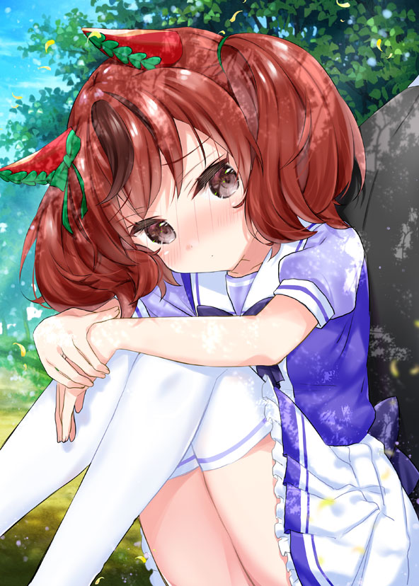 1girl animal_ears bangs blue_shirt blush brown_eyes brown_hair closed_mouth commentary_request day embarrassed eyebrows_visible_through_hair feet_out_of_frame frilled_skirt frills horse_ears hugging_own_legs k_hiro knees_up looking_at_viewer multicolored_hair nice_nature_(umamusume) nose_blush out-of-frame_censoring outdoors pleated_skirt puffy_short_sleeves puffy_sleeves shirt short_sleeves sitting skirt solo streaked_hair thigh-highs twintails umamusume white_legwear white_skirt