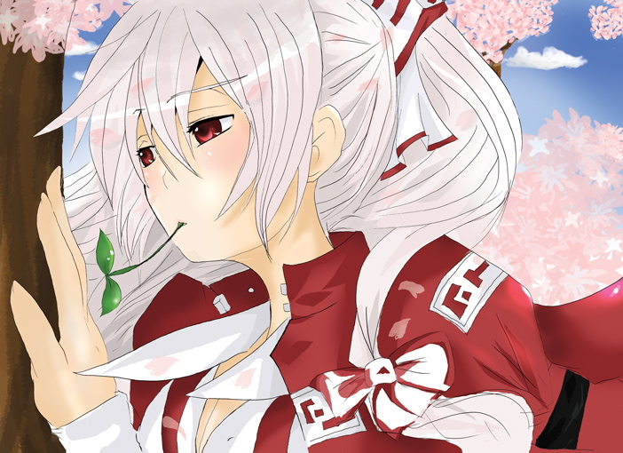aneko cherry_blossoms fujiwara_no_mokou mouth_hold petals ponytail red_eyes solo touhou tree