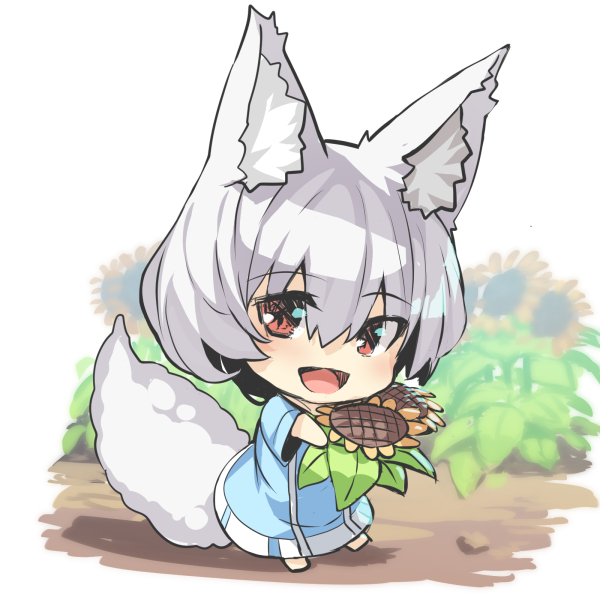 1girl :d animal_ear_fluff animal_ears bangs blue_dress chibi commentary_request dress eyebrows_visible_through_hair flower fox_ears fox_girl fox_tail hair_between_eyes holding holding_flower long_sleeves looking_at_viewer open_mouth original red_eyes smile solo standing sunflower tail white_hair wide_sleeves yellow_flower yuuji_(yukimimi)