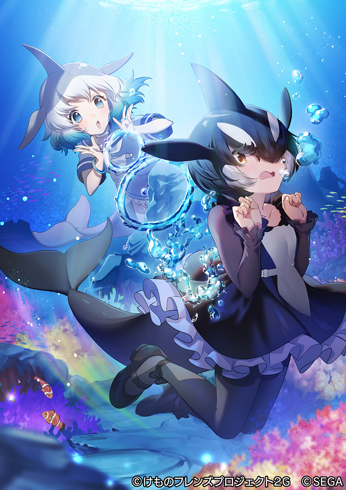 2girls black_dress black_footwear black_hair black_legwear blowhole blue_dress blue_eyes blue_hair blush bubble clownfish collar commentary_request common_bottlenose_dolphin_(kemono_friends) coral_reef dolphin_girl dolphin_tail dorsal_fin dress eyebrows_visible_through_hair frilled_collar frilled_dress frilled_sleeves frills hair_over_one_eye kemono_friends kemono_friends_3 legs long_sleeves mary_janes mucchiri_shiitake multicolored_hair multiple_girls neckerchief official_art orca_(kemono_friends) pantyhose sailor_collar sailor_dress shoes short_hair short_sleeves swimming tail two-tone_dress two-tone_hair underwater white_dress white_hair white_neckwear yellow_eyes