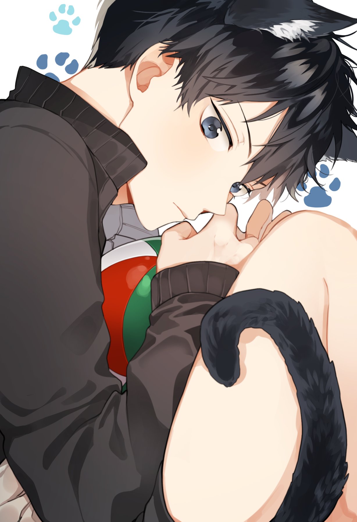 1boy animal_ears ball bari_dal black_hair blue_eyes cat_boy cat_ears cat_tail closed_mouth haikyuu!! highres holding holding_ball jacket kageyama_tobio knees_up looking_at_viewer male_focus paw_print paw_print_background short_hair sitting solo sportswear tail track_jacket volleyball