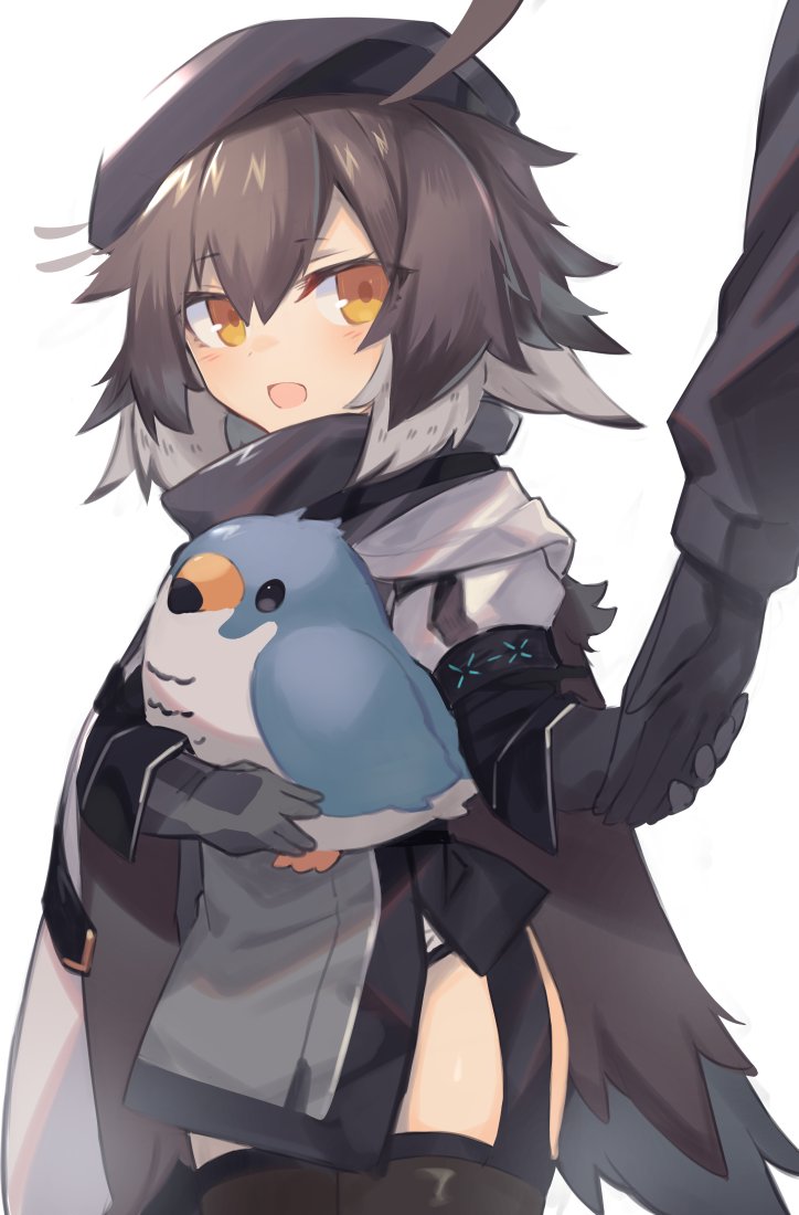 1girl 1other ahoge ambiguous_gender arknights armband beret black_gloves black_headwear black_legwear blush brown_hair cloak commentary eyebrows_visible_through_hair feathers garter_straps gloves grey_shirt hair_between_eyes hat holding holding_hands holding_stuffed_toy infection_monitor_(arknights) looking_at_viewer multicolored_hair open_mouth out_of_frame plume_(arknights) sasa_onigiri shirt simple_background stuffed_animal stuffed_bird stuffed_toy thigh-highs thighs two-tone_hair white_background white_hair yellow_eyes younger