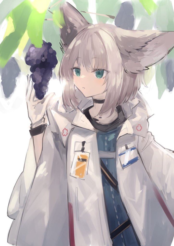 1girl animal_ears arknights black_wristband blue_eyes blue_shirt brown_hair commentary eyebrows_visible_through_hair food fox_ears fruit gloves grapes hand_up id_card jacket one-hour_drawing_challenge open_clothes open_jacket oripathy_lesion_(arknights) sasa_onigiri shirt short_hair sketch solo sussurro_(arknights) upper_body white_gloves white_jacket