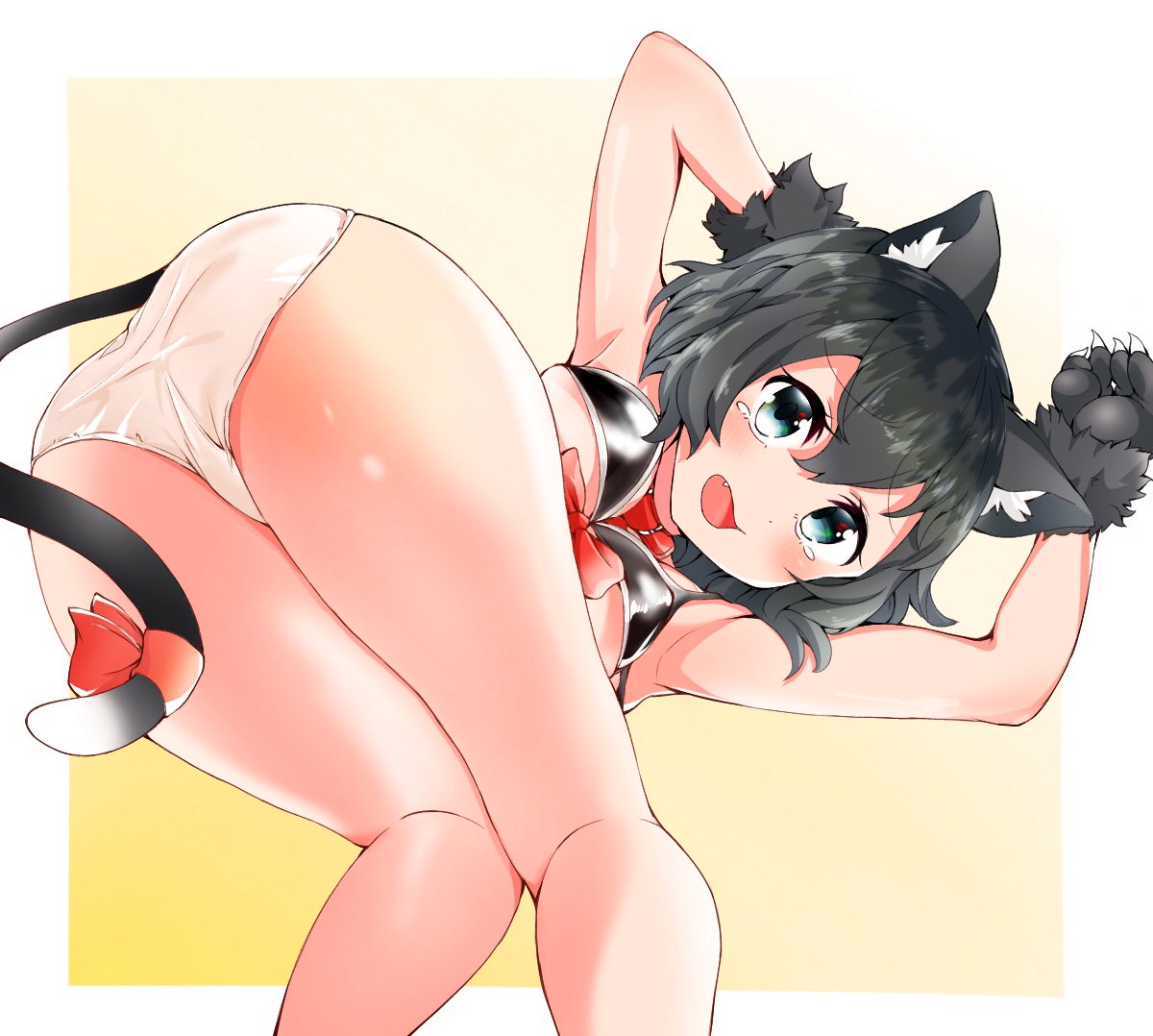 1girl animal_collar animal_ears animal_hands arms_up ass bangs bent_over black_bra black_hair blush bra cat_ears cat_tail collar commentary_request eyebrows_visible_through_hair fang from_behind gloves kaban_(kemono_friends) kemono_friends kemonomimi_mode kobacha_(ochakoba) looking_at_viewer looking_back open_mouth panties paw_gloves ribbon short_hair solo standing tail tail_ornament tail_ribbon tearing_up underwear white_panties