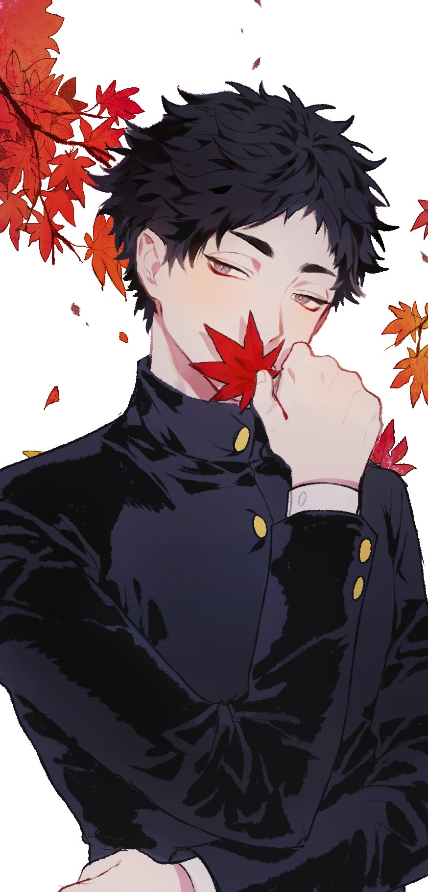 1boy akaashi_keiji autumn_leaves black_hair black_jacket buttons covering_mouth gakuran haikyuu!! highres holding holding_leaf jacket leaf long_sleeves looking_at_viewer male_focus mgmg_1012 school_uniform short_hair solo
