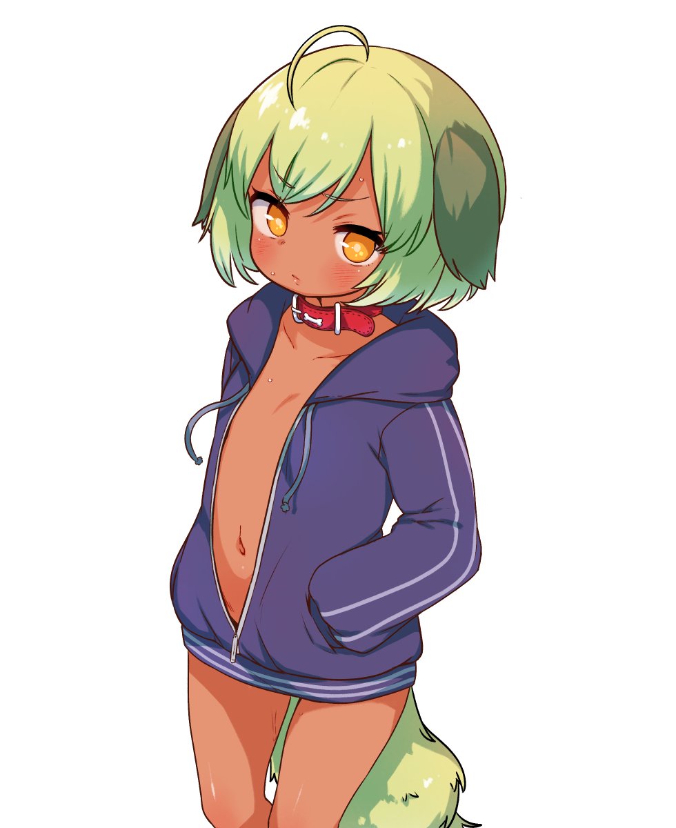 1girl :/ animal_collar animal_ears collar dog_ears dog_tail done_(donezumi) flat_chest green_hair hand_in_pocket highres hood hoodie naked_hoodie navel open_clothes open_hoodie orange_eyes original partially_unzipped short_hair sweat tail titi-chan_(nezumi_inu) v-shaped_eyebrows