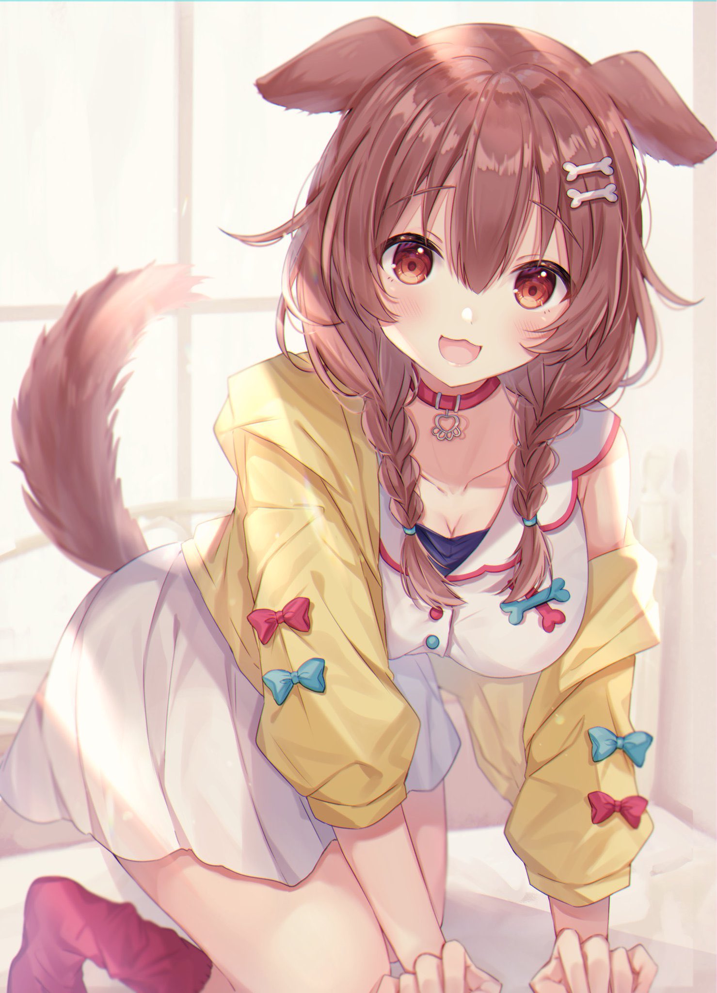 1girl :3 :d all_fours animal_ears bangs blue_bow blush bone_hair_ornament bow braid breasts brown_eyes brown_hair choker collarbone commentary_request day dog_ears dog_girl dog_tail eyebrows_visible_through_hair hair_between_eyes hair_ornament highres hololive indoors inugami_korone jacket large_breasts long_hair long_sleeves looking_at_viewer on_bed open_clothes open_jacket open_mouth red_bow red_choker red_legwear shirt skirt smile socks solo sorashima_(117) tail twin_braids virtual_youtuber white_shirt white_skirt window yellow_jacket