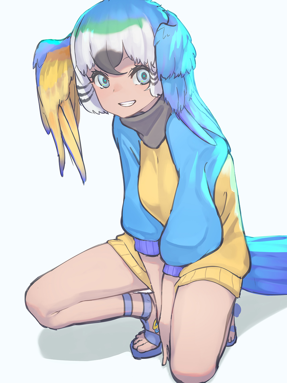 1girl between_legs bird_girl bird_tail bird_wings black_hair blonde_hair blue-and-yellow_macaw_(kemono_friends) blue_eyes blue_footwear blue_hair blue_sweater don3 eyebrows_visible_through_hair green_hair grey_hair hair_between_eyes hand_between_legs head_wings highres kemono_friends looking_at_viewer puffy_sleeves sandals short_hair solo squatting sweater tail turtleneck turtleneck_sweater two-tone_sweater white_hair wings yellow_sweater
