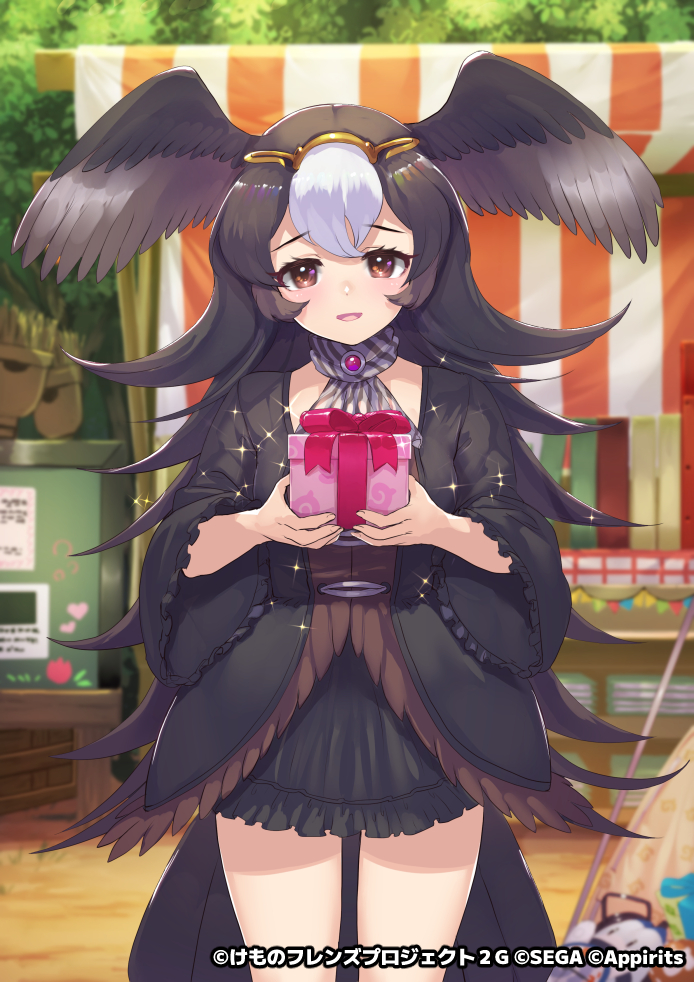 1girl bird_girl bird_tail bird_wings black_jacket black_skirt blush brown_eyes brown_hair brown_jacket brown_neckwear circlet commentary_request frilled_jacket frilled_skirt frilled_sleeves frills gift hair_between_eyes head_wings jacket kemono_friends kemono_friends_3 long_hair long_sleeves looking_at_viewer multicolored multicolored_clothes multicolored_hair multicolored_jacket official_art scarf skirt solo striated_caracara_(kemono_friends) tadano_magu tail two-tone_hair two-tone_jacket two-tone_neckwear white_hair white_neckwear wings