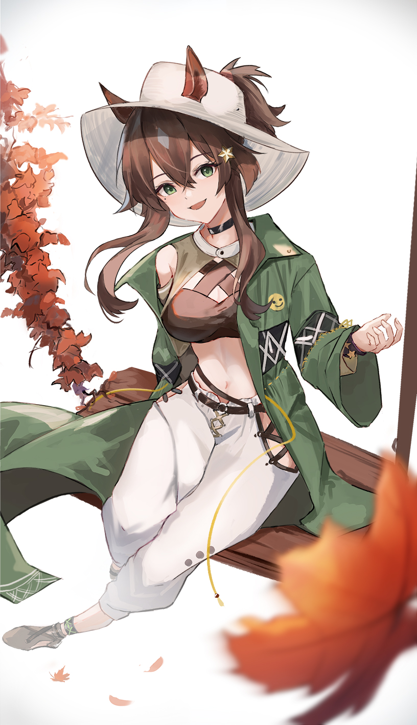 1girl :d animal_ears anklet arknights autumn_leaves black_choker blush breasts choker crop_top ears_through_headwear ema_(kuguiema) full_body green_eyes green_jacket grey_hair hair_ornament highres horse_ears jacket jewelry large_breasts long_hair long_sleeves looking_at_viewer meteor_(arknights) meteor_(bard's_holiday)_(arknights) mole mole_under_eye multicolored_hair navel official_alternate_costume open_clothes open_jacket open_mouth pants ponytail sidelocks simple_background sitting smile solo star_(symbol) star_hair_ornament stomach swing two-tone_hair white_background white_headwear white_pants