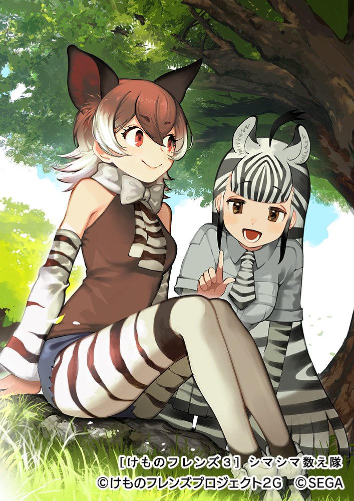 2girls ahoge animal_ears animal_print bangs bare_shoulders black_hair bow bowtie breast_pocket brown_eyes brown_hair closed_mouth company_name copyright counting cutoffs day detached_sleeves dutch_angle extra_ears eyebrows_visible_through_hair grass hand_up index_finger_raised kemono_friends kemono_friends_3 knees_up kurokw layered_sleeves leaning_forward legwear_under_shorts long_hair long_sleeves looking_at_another medium_hair multicolored_hair multiple_girls necktie official_art okapi_(kemono_friends) okapi_ears open_mouth outdoors pantyhose plains_zebra_(kemono_friends) pocket print_legwear print_neckwear print_skirt print_sleeves shirt short_over_long_sleeves short_shorts short_sleeves shorts skirt smile two-tone_hair very_long_hair watermark white_hair zebra_ears zebra_print