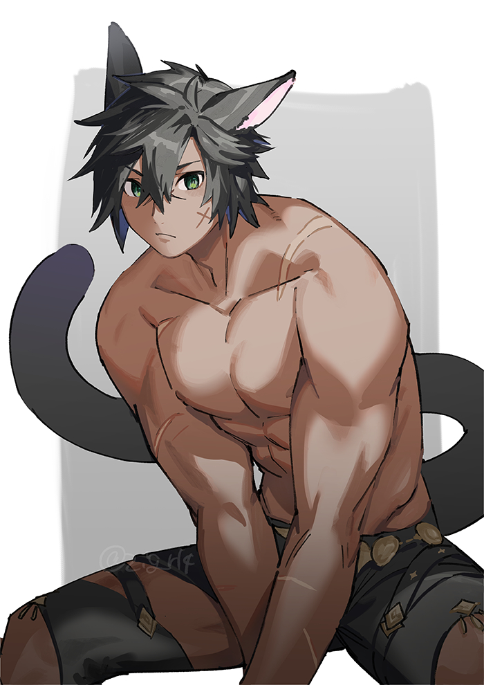 1boy animal_ears arms_between_legs avatar_(ffxiv) black_hair black_tail border cat_boy cat_ears cat_tail closed_mouth collarbone commentary_request dark-skinned_male dark_skin final_fantasy final_fantasy_xiv green_eyes grey_background grey_shorts hair_between_eyes invisible_chair leaning_forward looking_at_viewer male_focus miqo'te mn_(zig_r14) outside_border pectorals scar scar_on_arm scar_on_cheek scar_on_face short_hair shorts simple_background sitting solo spread_legs tail toned toned_male topless_male twitter_username v_arms white_border