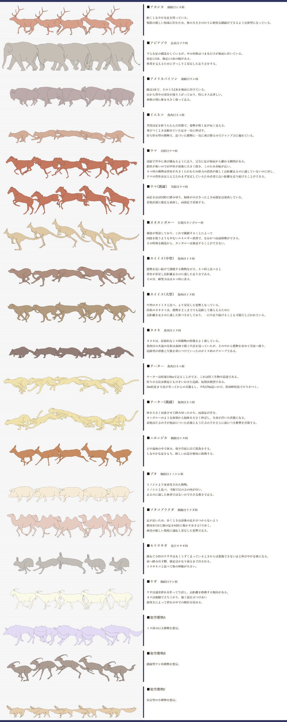 absurdres animal_focus bison camel cat cheetah commentary_request deer dog elephant from_side goat highres horse jumping kangaroo no_humans original pig profile rabbit raccoon running silhouette text_focus translation_request tsuji walk_cycle walking wolf