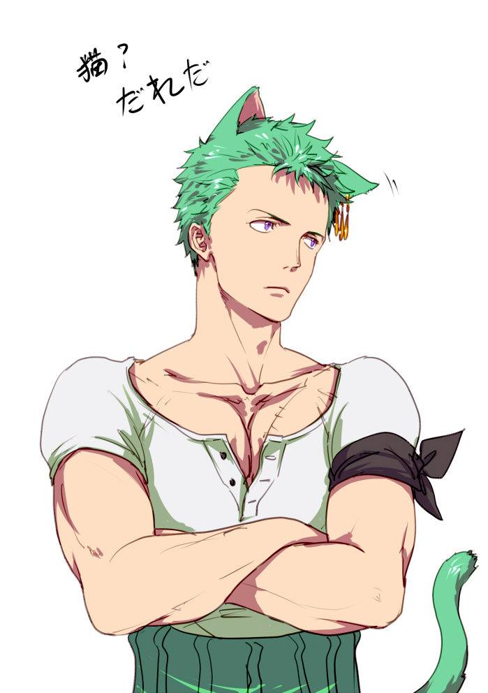 1boy animal_ears cat_boy cat_ears cat_tail crossed_arms eilinna green_hair kemonomimi_mode male_focus motion_lines one_piece partially_unbuttoned pectoral_cleavage pectorals roronoa_zoro short_hair sideburns solo stitches tail toned toned_male translated upper_body white_background