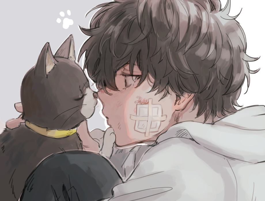 1boy amamiya_ren bandage_on_face bandages bangs black_cat black_eyes black_hair bruise bruise_on_face cat closed_eyes closed_mouth collar from_side hair_between_eyes hood hood_down hoodie injury male_focus morgana_(persona_5) noses_touching paw_print persona persona_5 portrait profile sawa2 simple_background white_hoodie yellow_collar