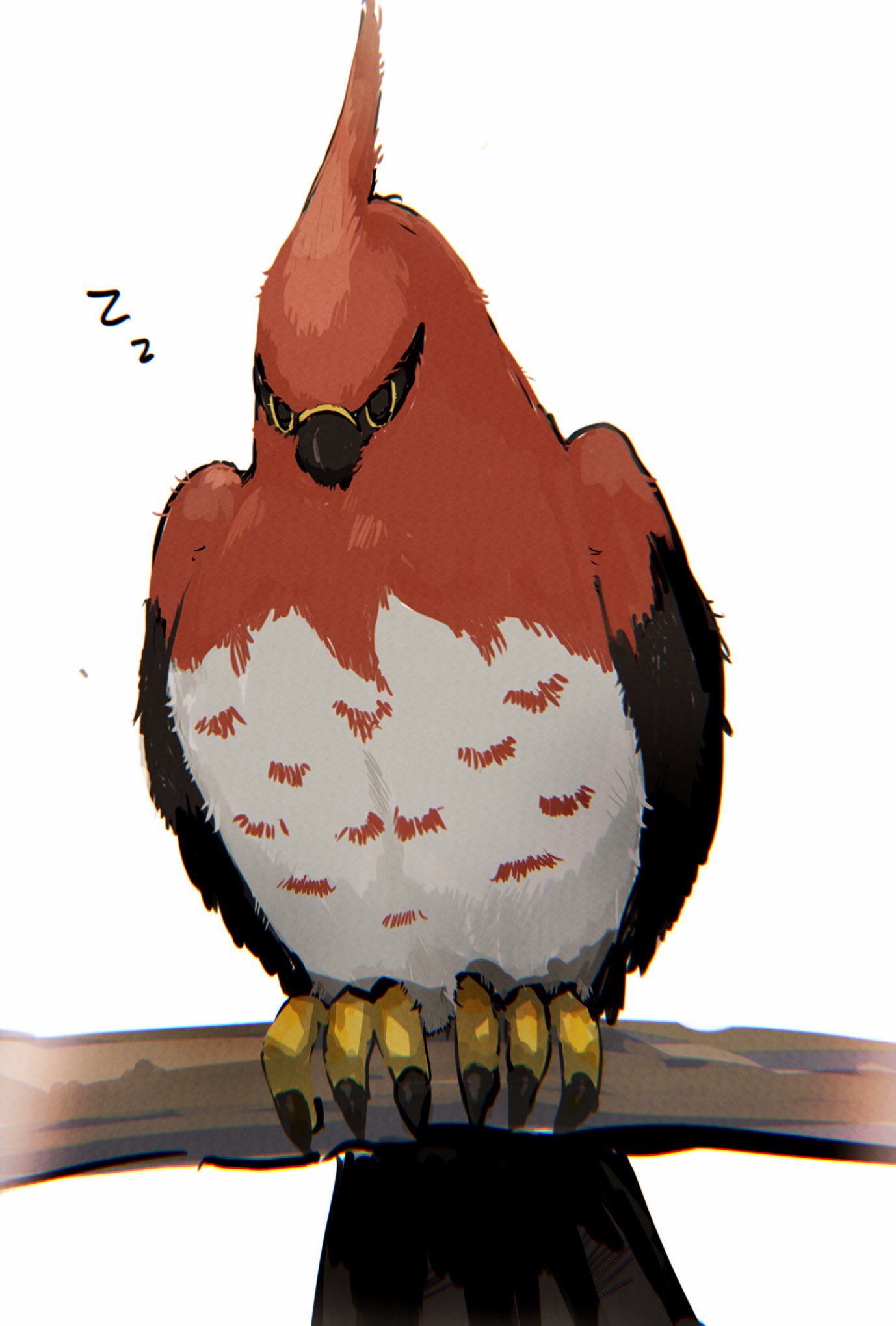 animal_focus bird branch chromatic_aberration claws closed_eyes closed_mouth commentary_request full_body fuwaten highres no_humans pokemon pokemon_(creature) simple_background sitting sleeping solo talonflame white_background zzz
