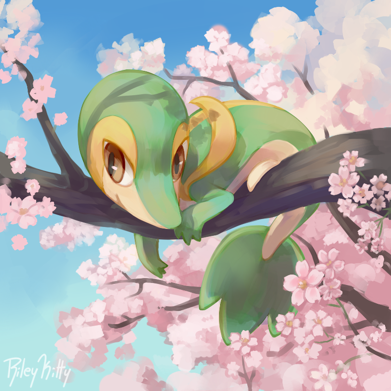 branch brown_eyes closed_mouth commentary day english_commentary flower looking_down lying no_humans outdoors pink_flower pokemon pokemon_(creature) rileykitty signature sky smile snivy solo
