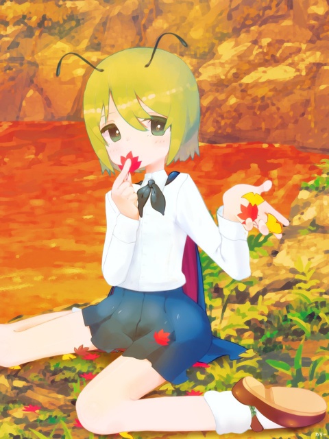 1girl antennae autumn_leaves bangs black_cape blue_skirt blush brown_footwear cape collared_shirt commentary_request flat_chest full_body green_eyes green_hair kari_(atsuki_565) looking_at_viewer red_cape shirt shoes short_hair sitting skirt socks solo touhou two-sided_cape two-sided_fabric wariza white_shirt wriggle_nightbug