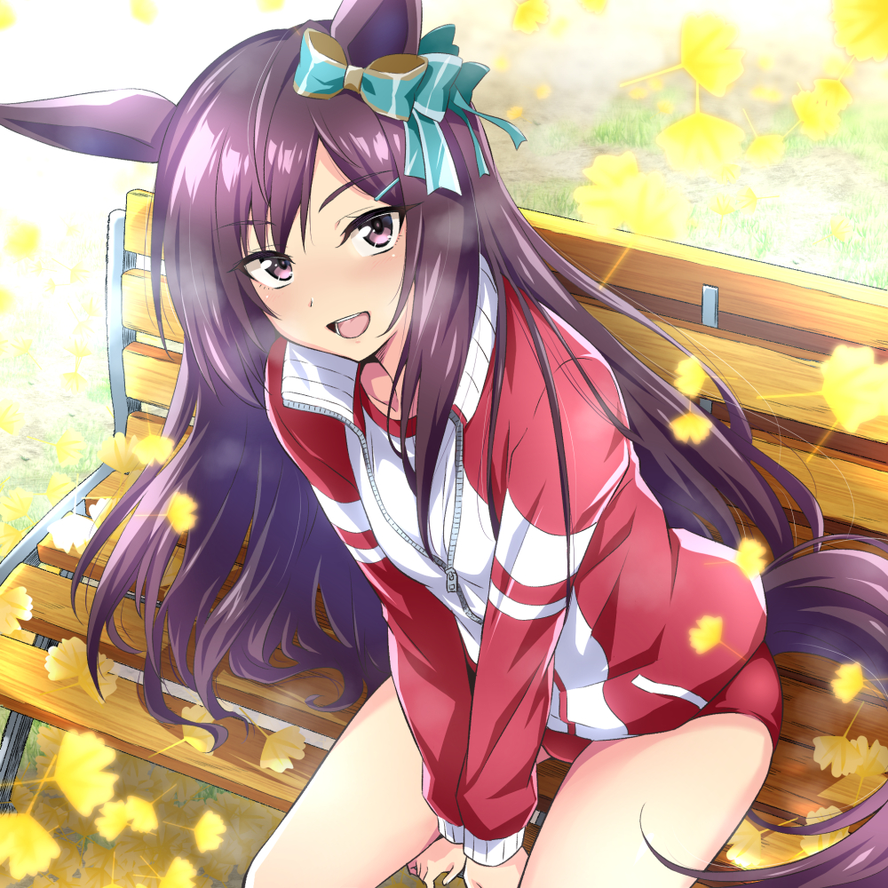 1girl animal_ears aqua_ribbon autumn_leaves bench black_hair buruma commentary_request ear_ribbon horse_ears horse_girl horse_tail jacket long_hair long_sleeves looking_at_viewer mejiro_dober_(umamusume) nakahira_guy on_bench open_mouth red_buruma ribbon sitting smile solo tail thighs track_jacket umamusume violet_eyes zipper