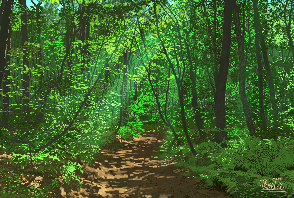 dappled_sunlight day forest landscape nature no_humans original outdoors path scenery signature sunlight suupii tree