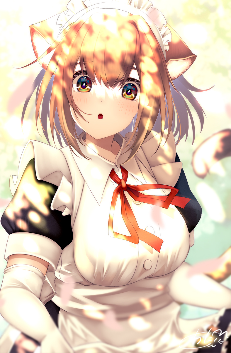1girl :o animal_ear_fluff animal_ears bangs black_skirt blurry blurry_background blush breasts brown_eyes brown_hair cat_ears cat_girl cat_tail chita_(ketchup) collared_shirt depth_of_field elbow_gloves eyebrows_visible_through_hair gloves hair_between_eyes highres looking_at_viewer maid maid_headdress medium_breasts neck_ribbon original parted_lips puffy_short_sleeves puffy_sleeves red_ribbon ribbon shirt short_sleeves skirt solo tail tail_raised white_gloves white_shirt