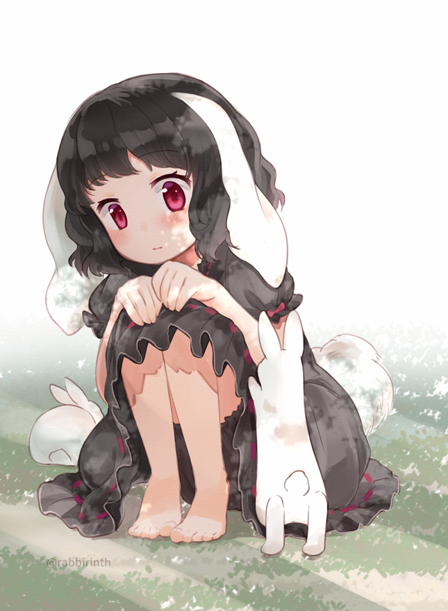1girl 3: alternate_color animal animal_ears bangs barefoot black_bloomers black_dress black_hair bloomers blush closed_mouth creature_and_personification dappled_sunlight day dress expressionless eyebrows_visible_through_hair film_grain floppy_ears frilled_dress frilled_sleeves frills full_body hands_on_own_knees hands_up inaba_tewi knees_to_chest knees_up leaning_forward light_rays looking_at_viewer looking_to_the_side mito_tsubaki no_nose official_alternate_costume on_grass on_ground outdoors puffy_short_sleeves puffy_sleeves rabbit rabbit_ears rabbit_girl rabbit_tail red_eyes ribbon-trimmed_dress shade short_hair short_sleeves sitting solo sunbeam sunlight tail tareme toes touhou twitter_username underwear wavy_hair white_tail