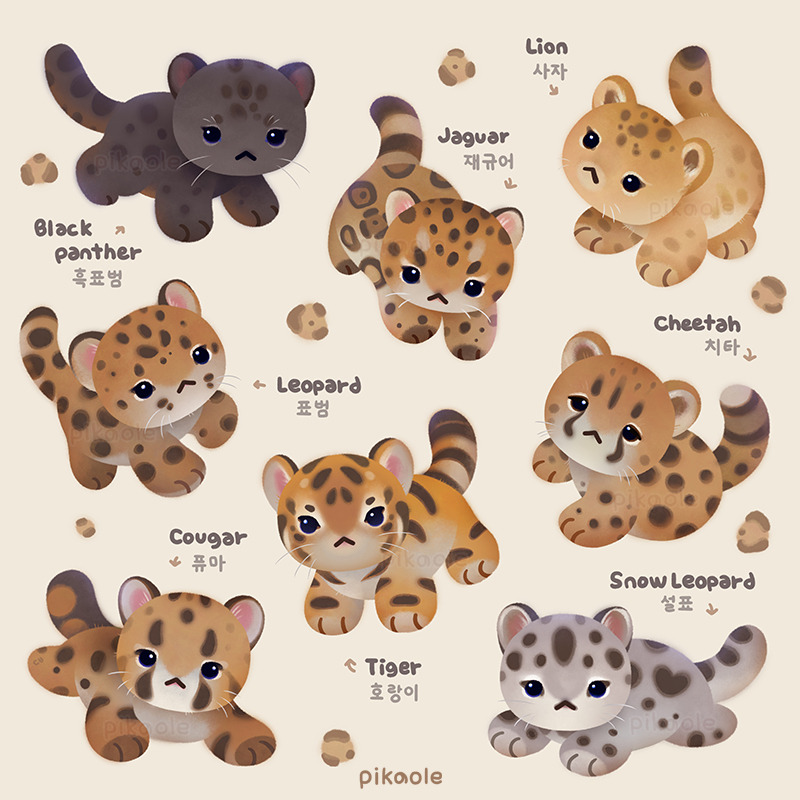 animal animal_focus arrow_(symbol) artist_name black_panther cheetah closed_mouth commentary cougar_(animal) english_commentary english_text jaguar korean_text leopard lion looking_at_viewer no_humans original pikaole simple_background snow_leopard spots tiger watermark