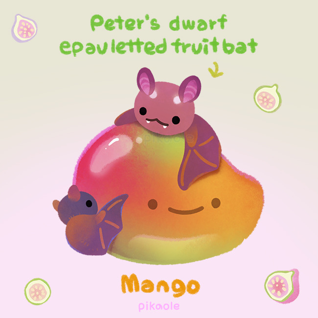 animal animal_focus arrow_(symbol) artist_name bat black_eyes closed_mouth commentary english_commentary english_text fangs fig food fruit gradient gradient_background green_background mango no_humans open_mouth original pikaole pink_background simple_background smile solid_circle_eyes watermark