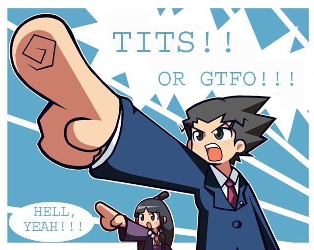 meme phoenix_wright pointing tagme