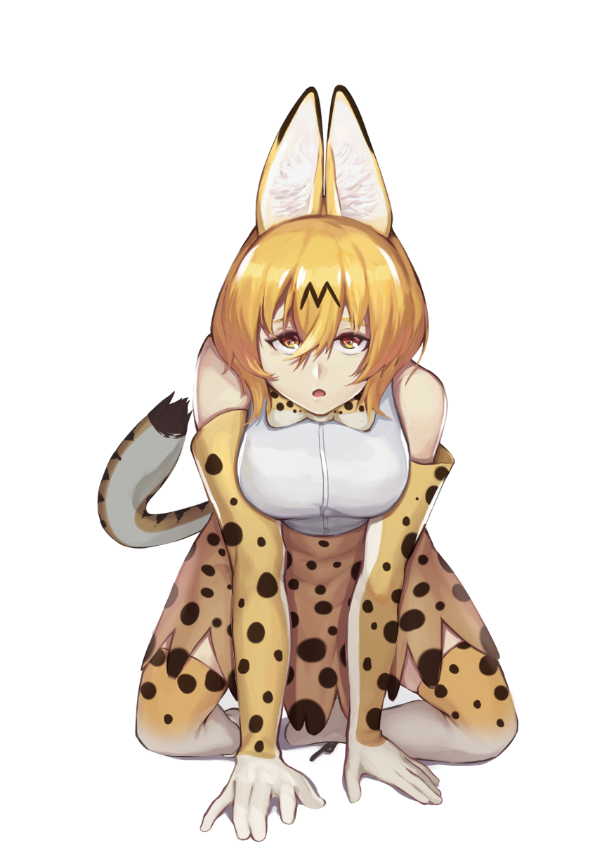 1girl all_fours animal_ear_fluff animal_ears bare_shoulders blonde_hair bow bowtie breasts cinko commentary_request elbow_gloves full_body gloves highres kemono_friends large_breasts looking_at_viewer open_mouth print_bow print_bowtie print_legwear print_skirt serval_(kemono_friends) serval_print shirt shirt_tucked_in simple_background skirt solo tail thigh-highs white_background white_shirt yell