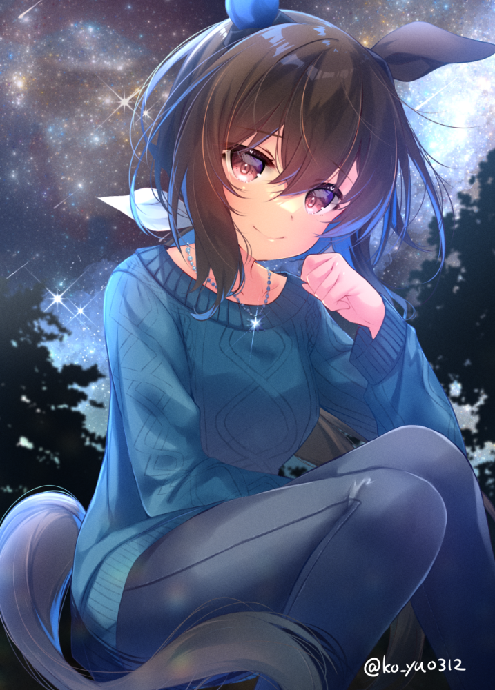 1girl admire_vega_(umamusume) animal_ears bangs black_pants blue_sweater brown_eyes brown_hair closed_mouth commentary_request eyebrows_visible_through_hair feet_out_of_frame glint hair_between_eyes hair_ribbon horse_ears horse_girl horse_tail jewelry ko_yu long_hair long_sleeves looking_at_viewer night night_sky outdoors pants pendant ribbon sky smile solo squatting star_(sky) starry_sky sweater tail twitter_username umamusume white_ribbon