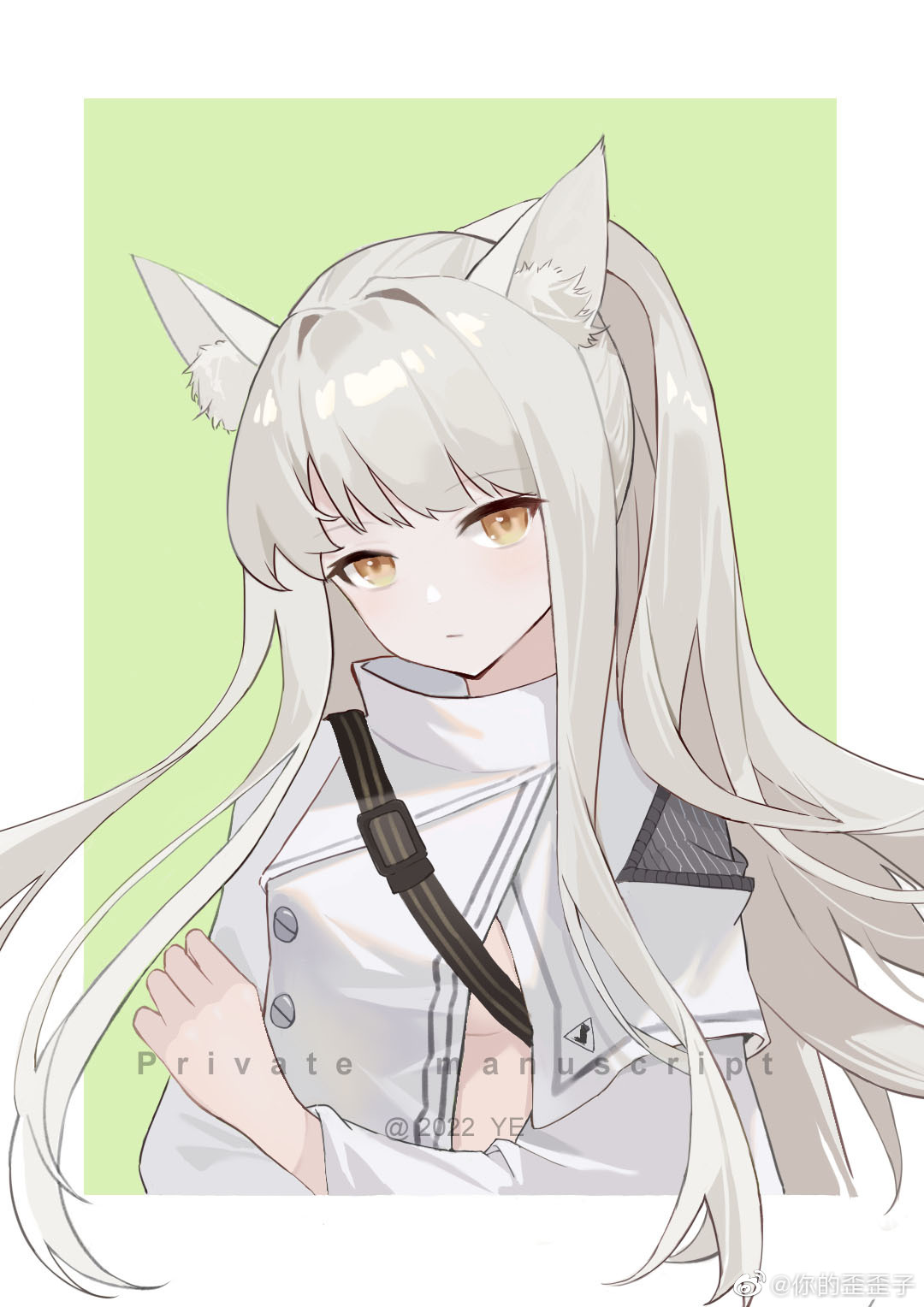 1girl animal_ear_fluff animal_ears arknights artist_name border breasts closed_mouth cropped_torso expressionless green_background highres horse_ears long_hair long_sleeves looking_at_viewer outside_border platinum_(arknights) ponytail sidelocks silver_hair simple_background small_breasts solo under_boob upper_body very_long_hair weibo_username white_border yellow_eyes