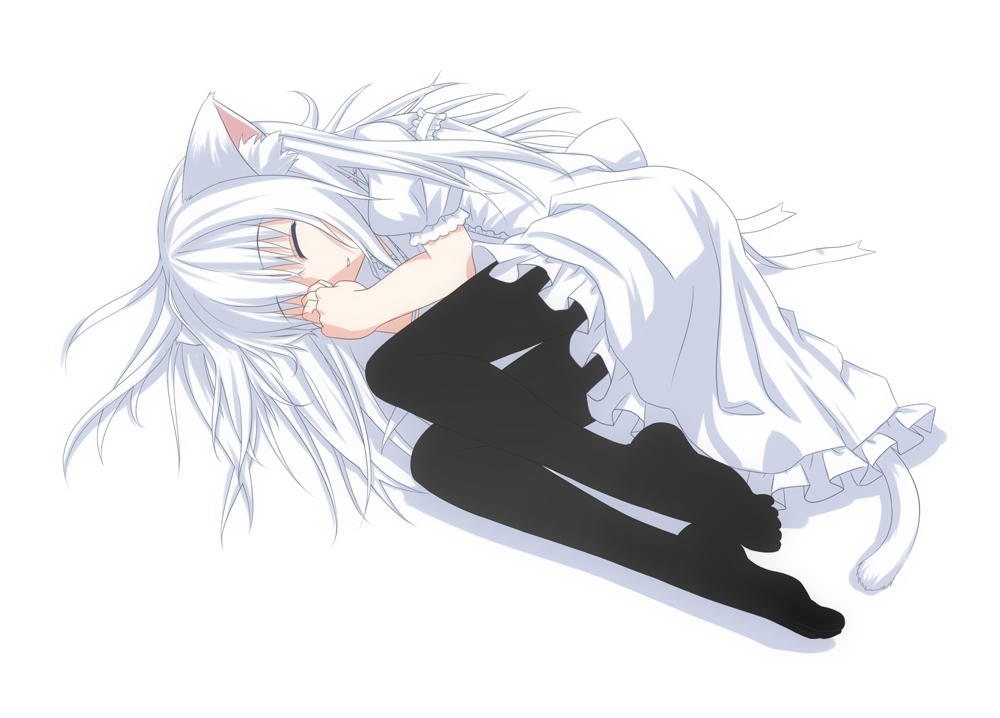 cat_ears cat_tail closed_eyes d2c feet legs long_hair lying on_side original pantyhose sleeping solo tail white_hair