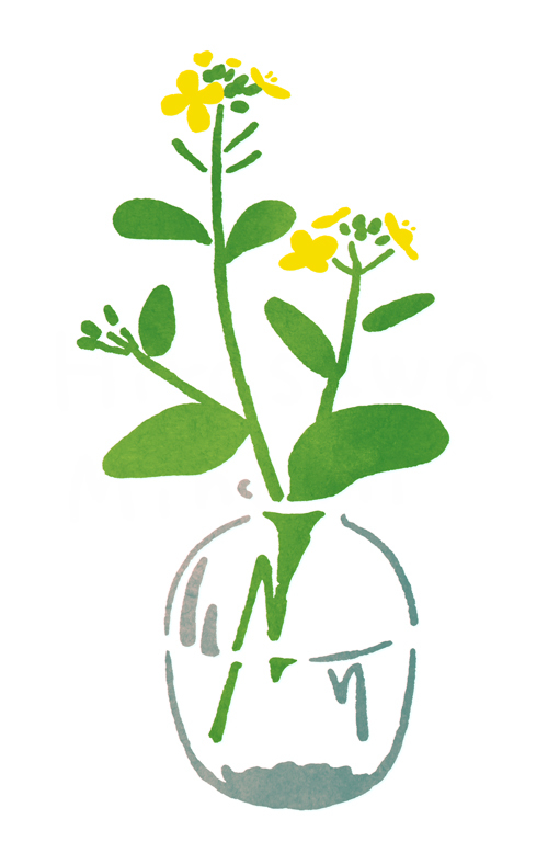 artist_name blending commentary_request flower hirasawa_minami leaf minimalism no_humans no_lineart original partially_immersed plant rapeseed_blossoms refraction simple_background still_life transparent vase water white_background yellow_flower