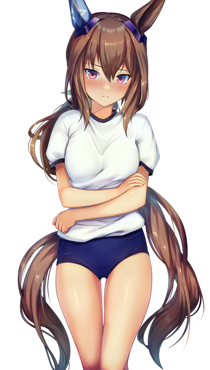 1girl admire_vega_(umamusume) animal_ears ass_visible_through_thighs bangs blue_buruma blush breasts brown_hair buruma closed_mouth commission feet_out_of_frame frown gym_uniform hair_between_eyes highres horse_ears horse_girl horse_tail long_hair looking_at_viewer low_ponytail medium_breasts pink_eyes shirt short_sleeves simple_background skeb_commission solo standing tail thighs tks_(526tks) umamusume very_long_hair white_background white_shirt