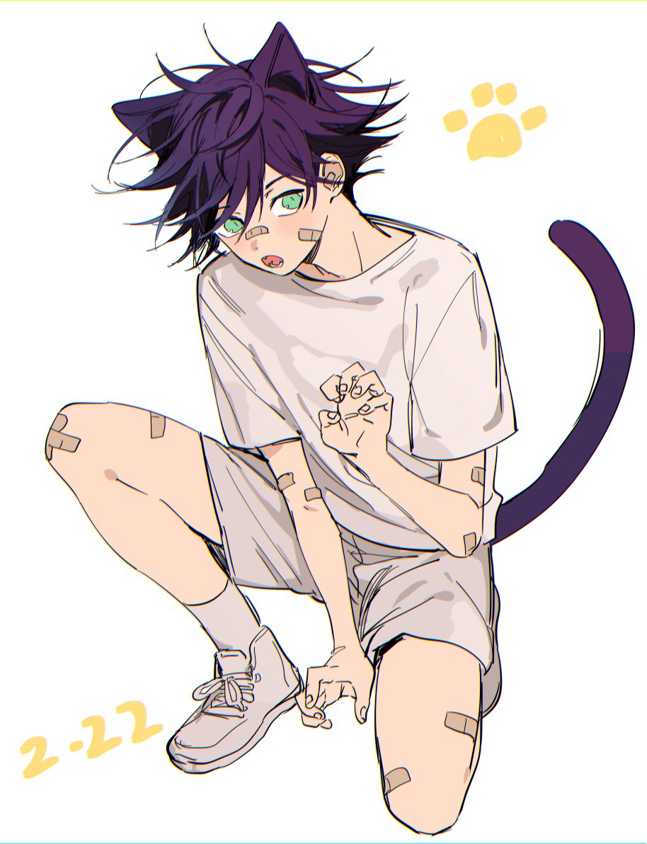 1boy animal_ears bandaid bandaid_on_arm bandaid_on_face bandaid_on_knee bandaid_on_leg bandaid_on_nose bangs black_hair cat_boy cat_ears cat_tail claw_pose commentary_request fangs fingernails fushiguro_megumi green_eyes jujutsu_kaisen knee_up looking_at_viewer m167cm male_focus open_mouth paw_print paw_print_background shirt short_hair short_sleeves shorts solo spiky_hair squatting tail white_shirt white_shorts younger