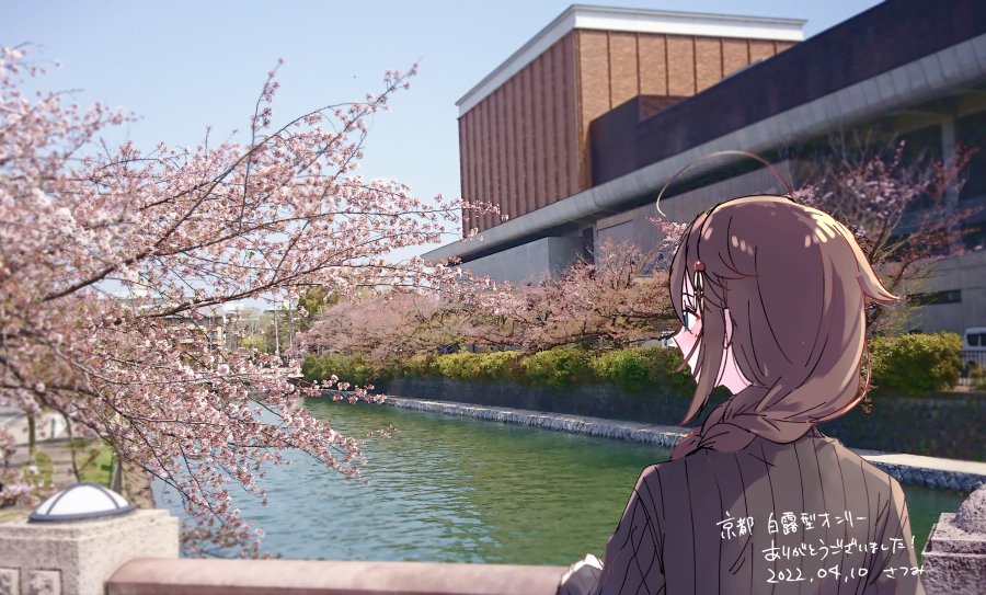 ahoge black_hair black_sweater blue_eyes blue_sky braid building cherry_blossoms clouds commentary_request dated day from_behind hair_flaps hair_over_shoulder kantai_collection kyoto outdoors photo_background railing real_world_location ribbed_sweater river satsumi shigure_(kancolle) single_braid sky sweater translation_request tree upper_body