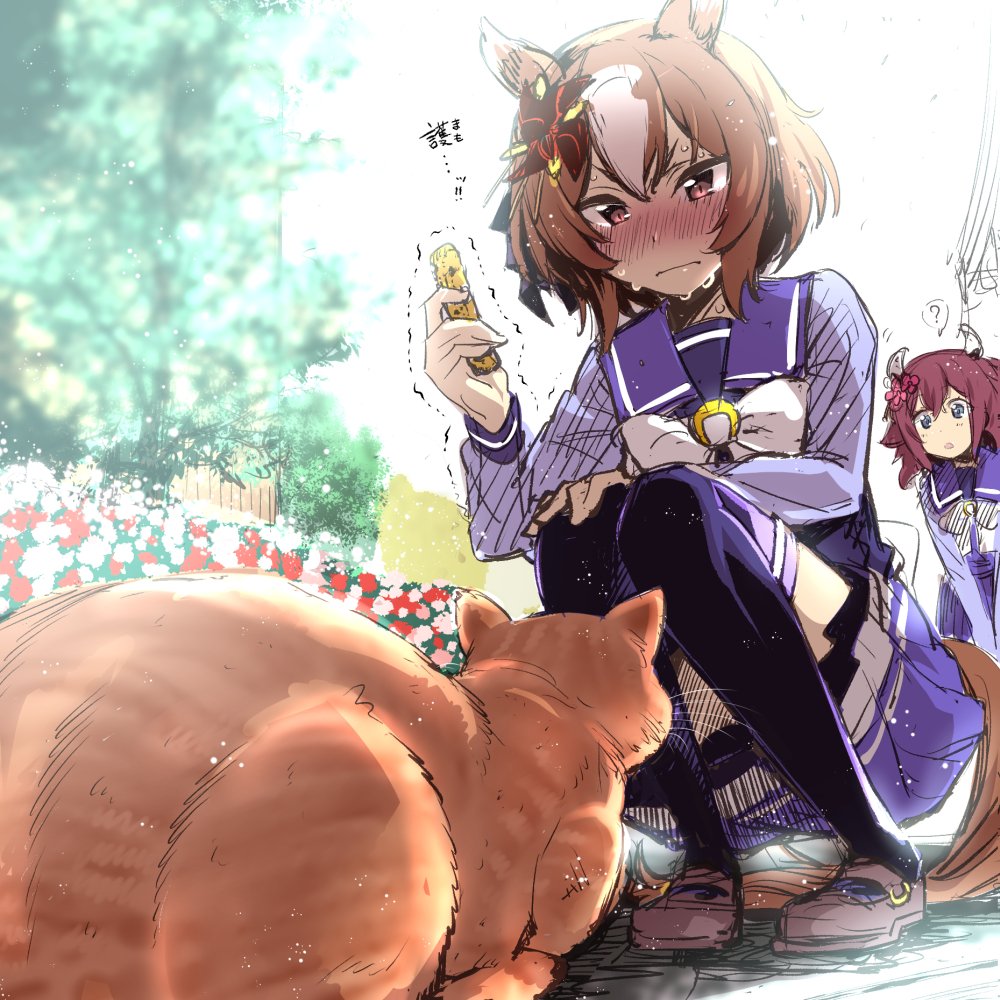 2girls ? animal_ears bangs blue_eyes blush brown_eyes brown_footwear brown_hair bush cat chikuwa closed_mouth flower_bed food holding holding_food horse_ears horse_girl horse_tail long_sleeves multicolored_hair multiple_girls nakahira_guy nose_blush pinwheel_hair_ornament purple_shirt purple_skirt sailor_collar sakura_chiyono_o_(umamusume) school_uniform shirt shoes skirt spoken_question_mark squatting sweat tail thigh-highs tracen_school_uniform tree trembling two-tone_hair umamusume yaeno_muteki_(umamusume)