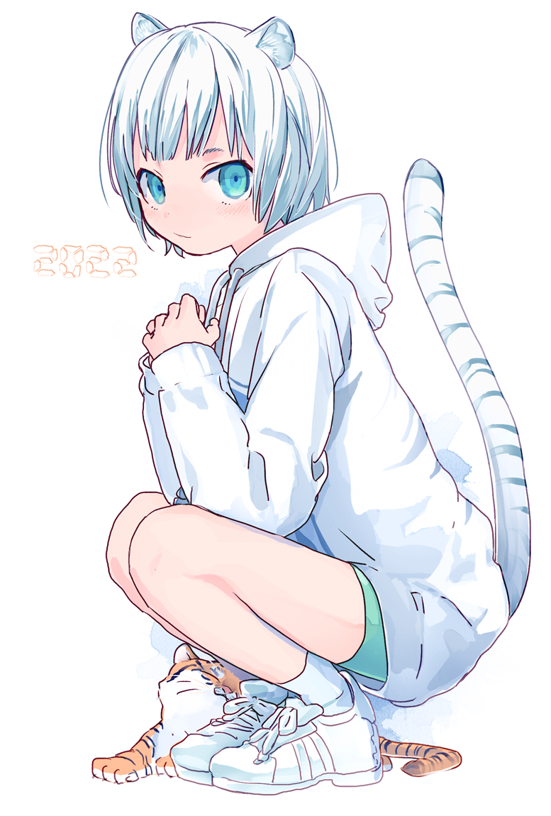 1girl 2022 animal_print bangs blue_eyes blunt_bangs chinese_zodiac closed_mouth elbows_on_knees hood hoodie light_smile looking_at_viewer makino_(sinobusan) original own_hands_together shoes short_hair short_shorts short_socks shorts sneakers solo squatting striped_tail tail tiger tiger_girl tiger_print tiger_tail white_hair year_of_the_tiger