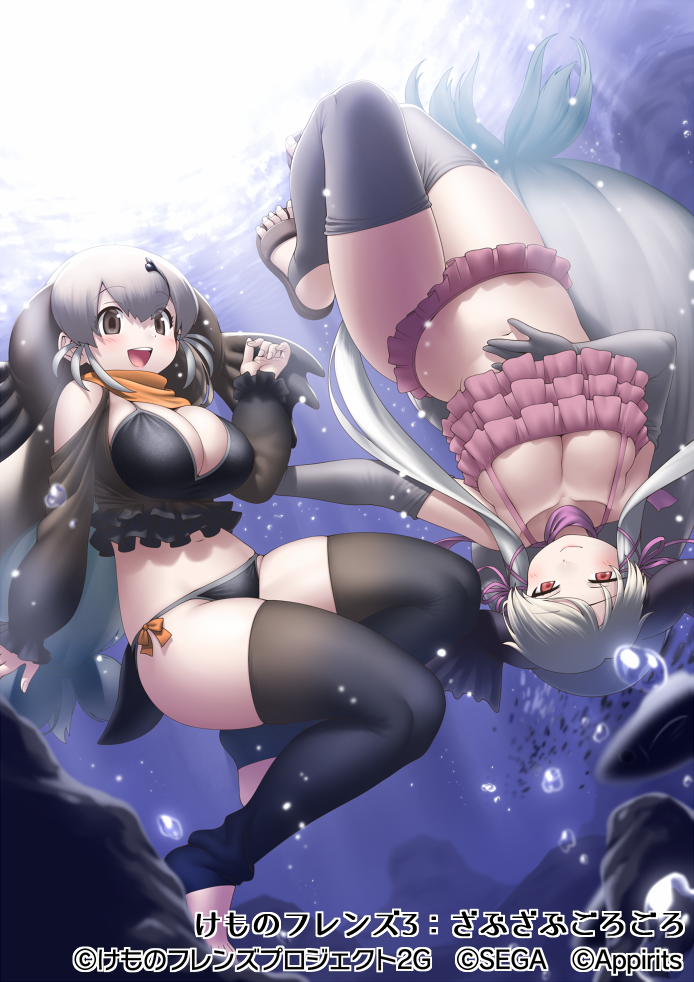 2girls :d air_bubble bare_shoulders bikini black_bikini black_eyes black_legwear breasts bubble collarbone commentary_request elbow_gloves eyebrows_visible_through_hair fish flip-flops frilled_bikini frills gloves grey_gloves grey_hair hair_ribbon kemono_friends kemono_friends_3 large_breasts long_hair long_sleeves looking_at_viewer low-tied_long_hair multiple_girls navel official_art open_mouth pink_ribbon red_eyes ribbon sandals sidelocks smile steller's_sea_lion_(kemono_friends) stirrup_legwear swimsuit tail thigh-highs toeless_legwear underwear very_long_hair walrus_(kemono_friends) white_hair yoshida_hideyuki