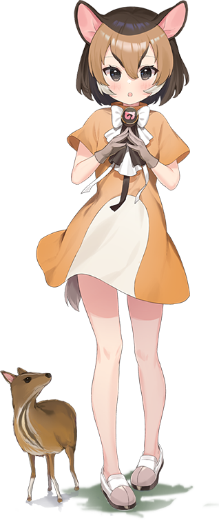 1girl animal animal_costume animal_ear_fluff animal_ears black_eyes full_body game_cg gloves kemono_friends kemono_friends_kingdom legs looking_at_viewer multicolored_hair neck_ribbon official_art open_mouth ribbon shoes simple_background solo standing tachi-e tail white_background