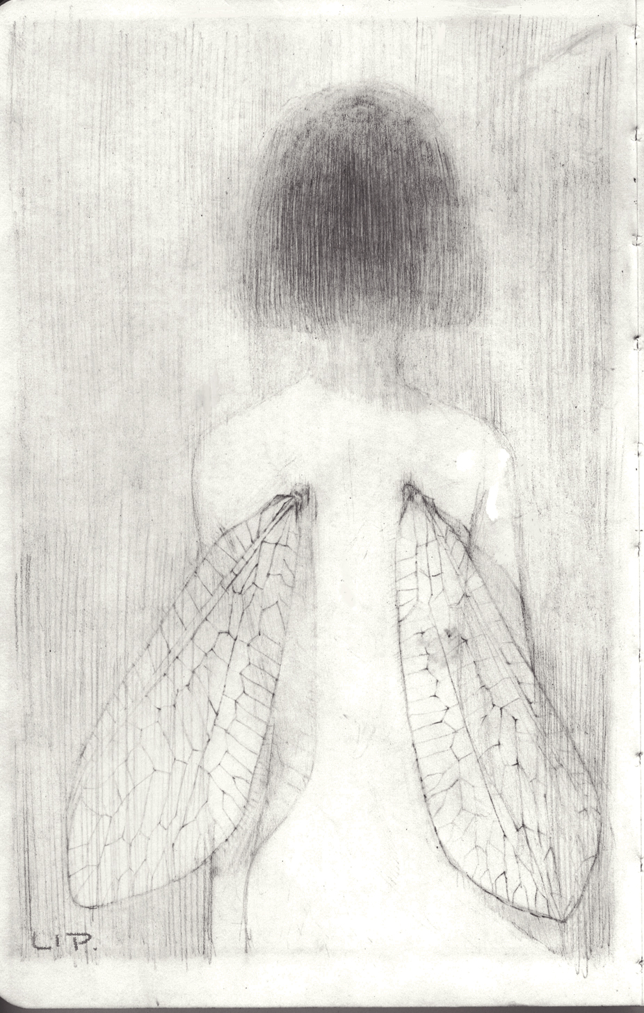 1girl arms_at_sides bad_id bad_pixiv_id blunt_ends bob_cut facing_away fairy_wings from_behind greyscale hatching_(texture) highres insect_wings linear_hatching lip_(lih8) monochrome nude original photo_(medium) short_hair signature solo traditional_media transparent_wings upper_body wings