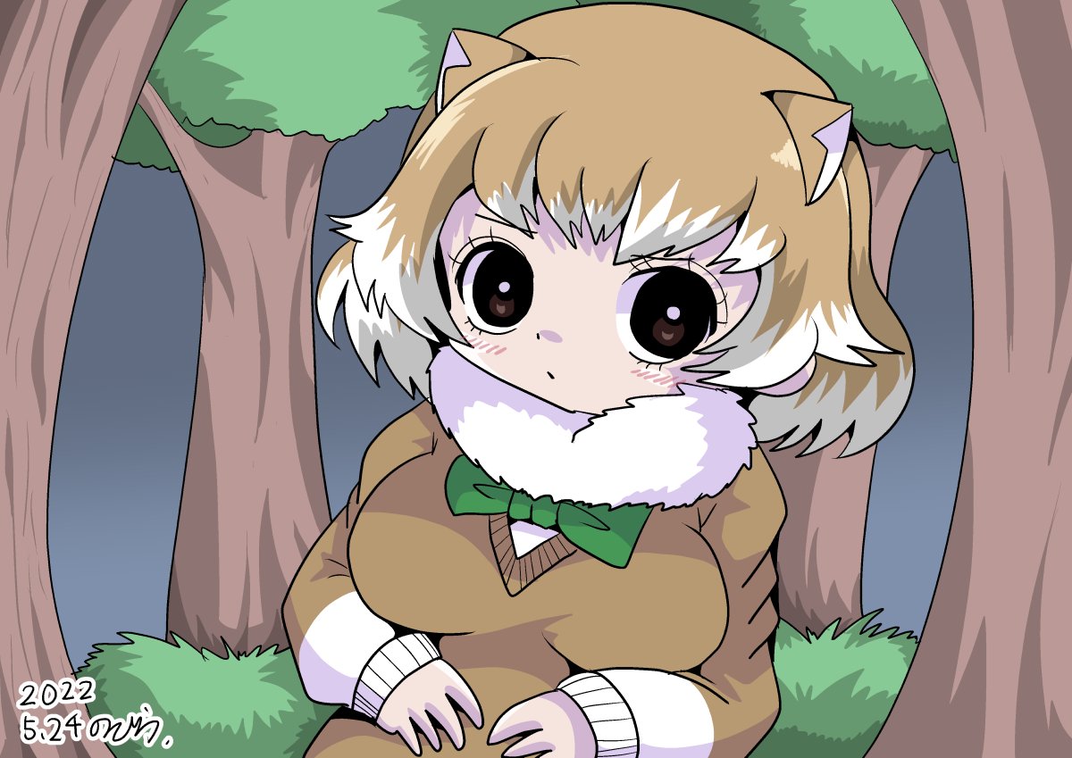 1girl black-tailed_prairie_dog_(kemono_friends) blush bow bowtie breasts brown_hair dated extra_ears forest green_bow green_bowtie kemono_friends kemono_friends_3 large_breasts looking_at_viewer nature night noda_ryo short_hair signature solo sweater v-neck